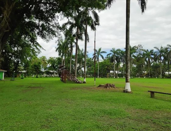 Área de juegos infantiles bajo las palmeras